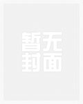 赖上女总裁1-100集免费看